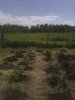 2010-06-15 10.41.45.jpg