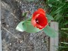 DSC01093.jpg