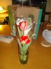 DSC01096.jpg