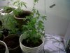 IMG00012-20100622-2009.jpg