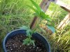 100_0049.jpg