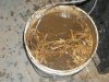 compost6.jpg compost6.jpg