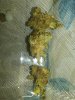 IMG00112-20100628-1653.jpg
