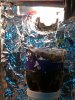 IMG00107-20100628-1645.jpg