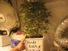 IMG_2100.jpg IMG_2100.jpg