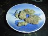 DSC05564.jpg