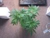 2010-06-30 19.04.19.jpg