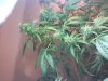 2010-06-17 20.15.22.jpg