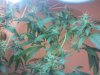 2010-06-16 07.49.18.jpg