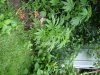 DSC02185.jpg