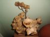 DSC05493.jpg