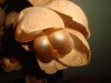 DSC05491.jpg