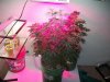veg room.jpg veg room.jpg