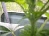 100_0058.jpg