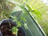 100_0061.jpg