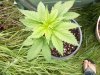 100_0055.jpg