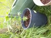 100_0062.jpg