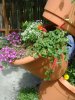 7-5 Flower Tower 3rd side.jpg