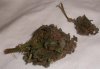100_0723.jpg
