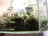 DSCF1482.jpg