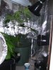 Picture 002.jpg