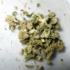 bubba_kush.jpg
