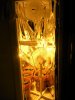 DSCN1598.jpg