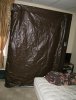 big daddy grow 008.JPG