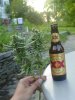 07-08-10_Little_Mamma_Colas000.jpg