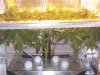 100_0426.jpg