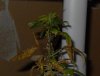 SDC108212.jpg