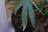 DSC_1112.jpg