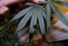 DSC_1121.jpg