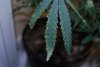 DSC_1114.jpg