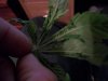 100_0109.jpg