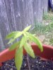 07132010331.jpg