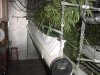 DSC00032.jpg