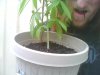Snapshot_20100714.jpg Snapshot_20100714.jpg