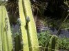 0716101348-00.jpg 0716101348-00.jpg