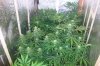 100_3810.jpg