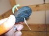 DSC00425.jpg