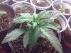 Imagen024.jpg