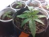 Imagen025.jpg