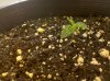 IMG_20100719_163309.jpg