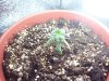 100_8787.jpg