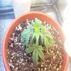 100_8835.JPG