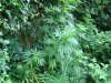 DSC02565.jpg
