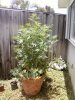 072010133833.jpeg