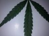 17F5.jpg
