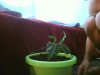 Picture0397.jpg